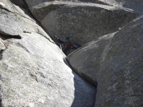 Tercer llarg amb fisura iamb un flanqueix bastant dur
