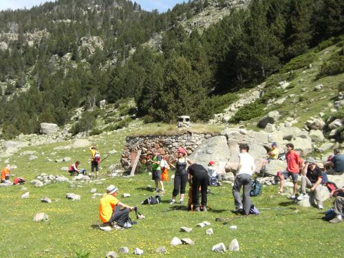 Cabana dels Esparvers