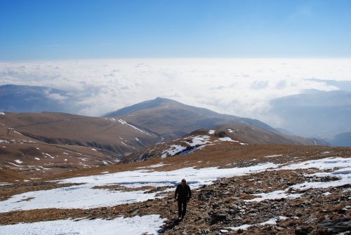 Arribant al cim
