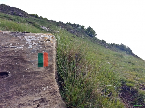 Camí del Comanegra