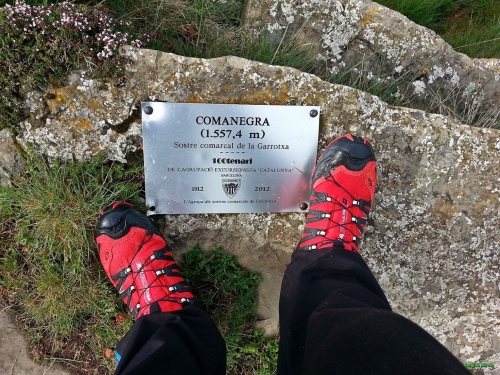 Al cim del Comanegra, sostre comarcal de la Garrotxa
