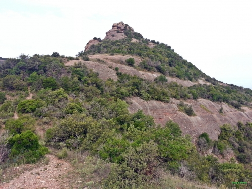 Arribant al Pujol de la Mata