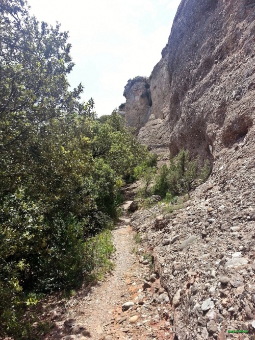 Camí de Castellsapera