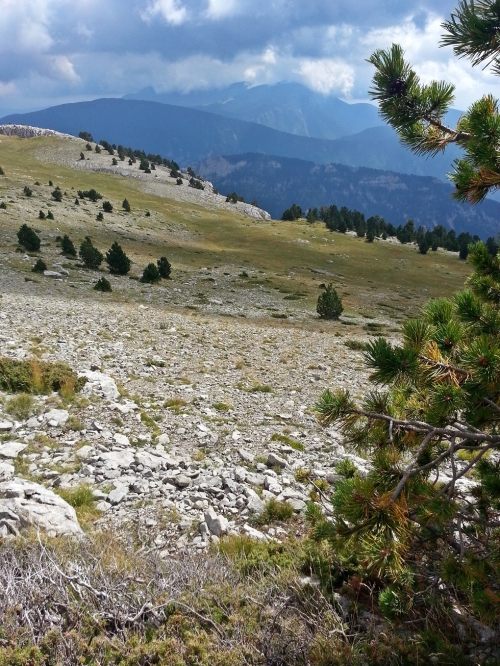 Baixant de la Torreta de Cadí al Coll de Jovell