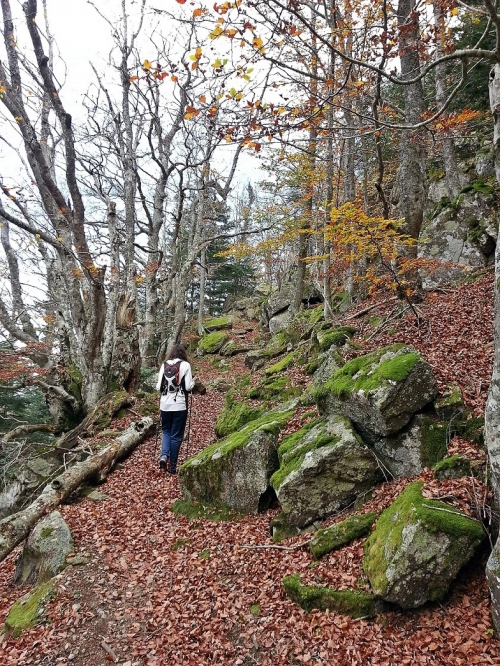Pujant al Roc de Frausa