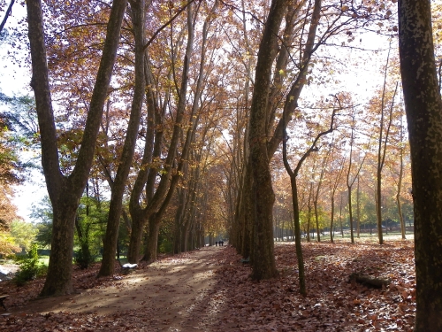 Parc de Sant Salvador