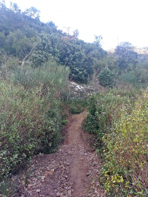 Pujant al Roc de Mallorca