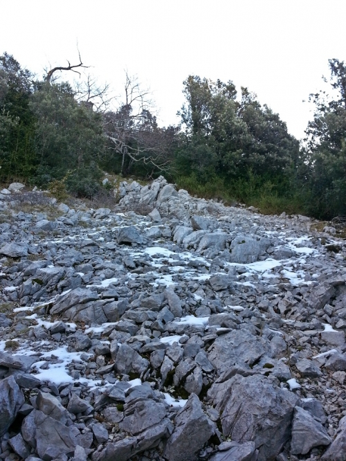 Arribant al cim