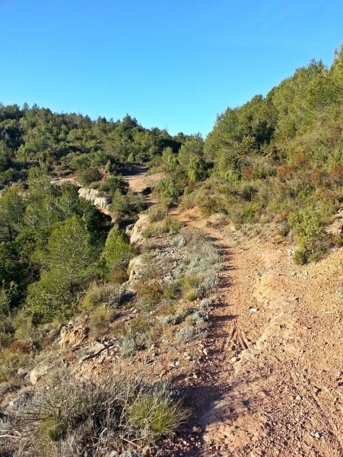 Camí de baixada
