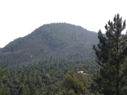 Turó de Sant Pere Vell