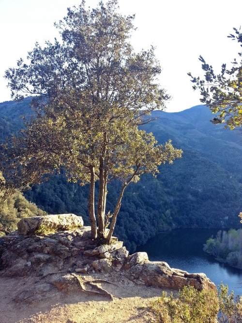 Des del Dolmen de Colldegria