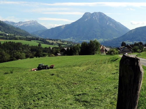 el Mont Colombier domina la idíl·lica Vallée des Aillons